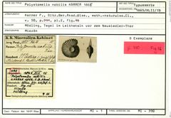 Karteikarte zum Holotyp von Polystomella nobilis Karrer, 1865